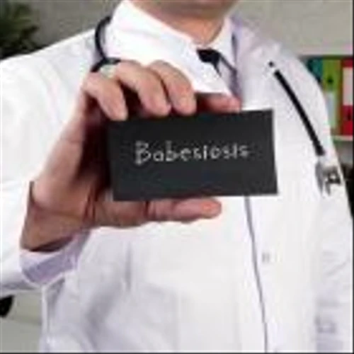 60 Degrees Pharmaceuticals obtains IRB approval for chronic babesiosis therapy trial