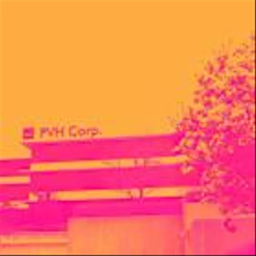 PVH Q1 Earnings Call: Management Details Margin Pressure and Promotional Challenges Amid Weak Consumer Environment