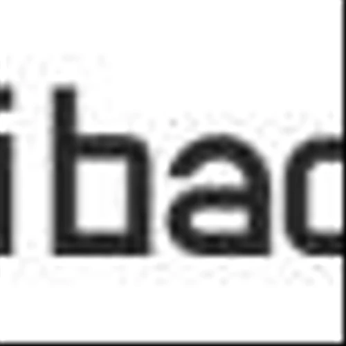 Zhibao Technology Inc Announces Financial Results for the Fiscal Year Ended June 30, 2024