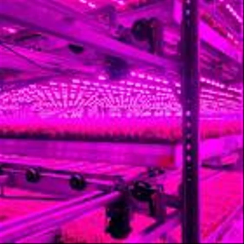 80 Acres Farms merges with vertical-farming peer Soli Organic