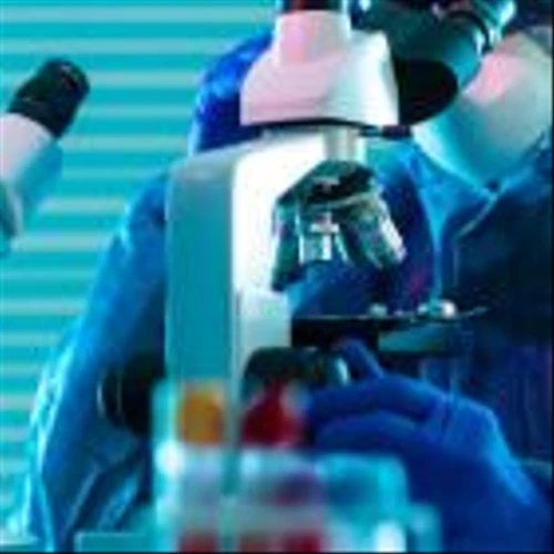 Insider Buyers Lose US$33k As Standard BioTools Sheds US$27m