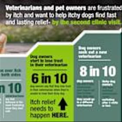 Elanco Releases New Report Highlighting the Significance of America's Itchy Dogs and the Need for Itch Relief