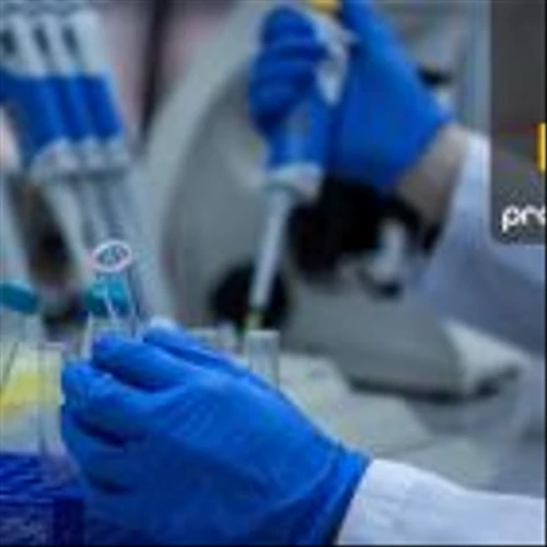 Elutia's CanGarooRM: Pioneering Drug-Eluting Biologic for Secure Medical Implants
