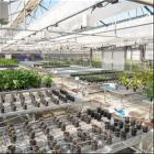 Syngenta collaborates with Ginkgo Bioworks to enable faster launch of innovative biologicals