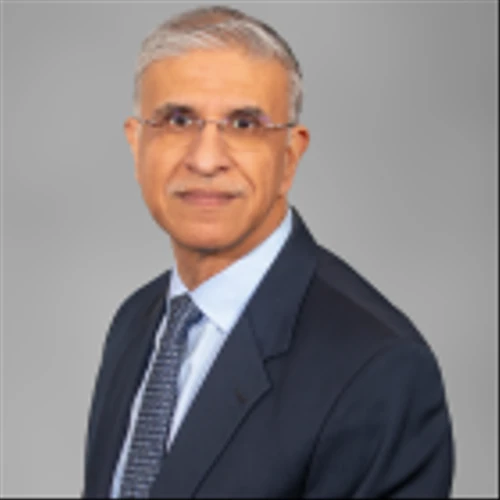 Magna Announces Fourth Quarter 2024 Results and 2025 Outlook