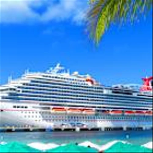 Carnival earnings, demand: Cruise lines having 'more than' a moment