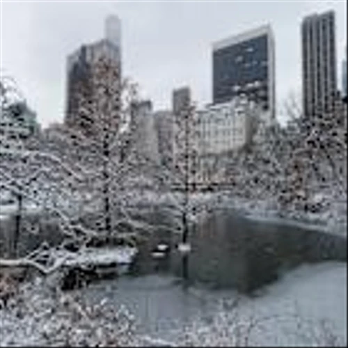 Natural gas prices soar with massive winter storm, arctic blast set to impact almost half the country