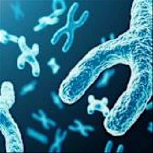 New Strong Buy Stocks for March 18th