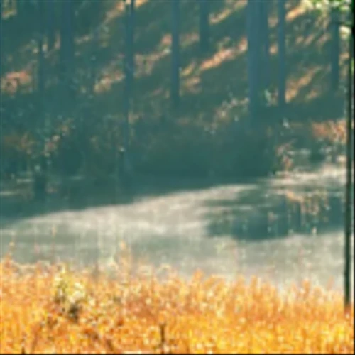 International Paper: One Million Acres of Forestland Conserved