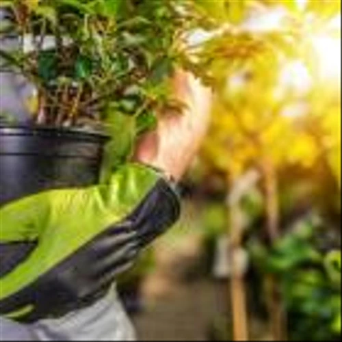 Zacks Industry Outlook Highlights Bunge, West Fraser Timber, GrowGeneration and Hydrofarm