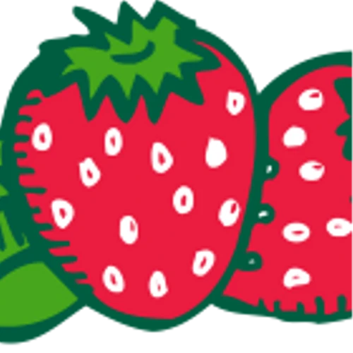 STRAWBERRY FIELDS REIT TO PRESENT AT THE 2025 SEQUIRE INVESTOR SUMMIT IN PUERTO RICO