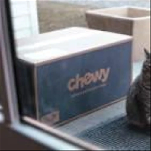Chewy, Eaton and 2 Other Stocks Set to Gain After Earnings, Says Morgan Stanley