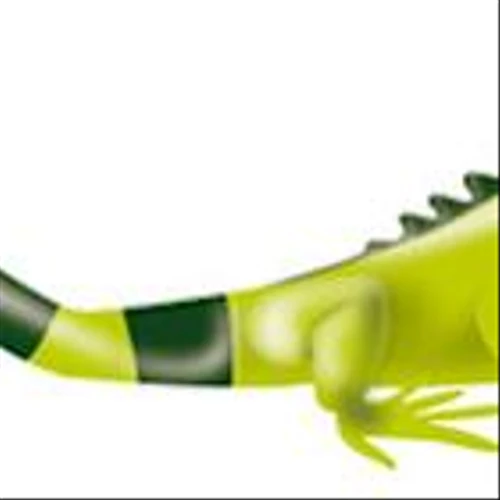 S&P Global Ratings affirms Ecopetrol's Stand-Alone Credit Profile (SACP) while adjusting its global credit rating