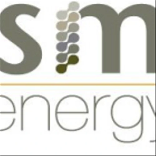 SM Energy Co (SM) Q4 2024 Earnings Call Highlights: Strategic Growth and Operational Challenges