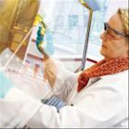 Bayer (XTRA:BAYN): Is Recent Momentum Signaling a Shift in Valuation?