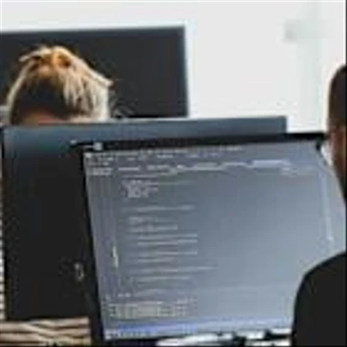 Analysts Remain Cautious on Palo Alto (PANW) Amid Growth Challenges