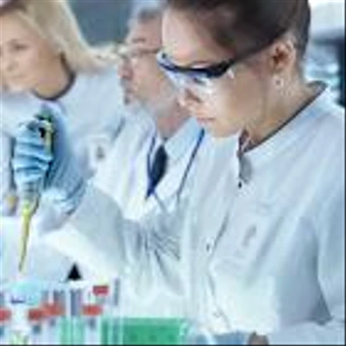 Zenas BioPharma, A Top 1% Stock, Quadrupled In 2025. Why It Just Collapsed.