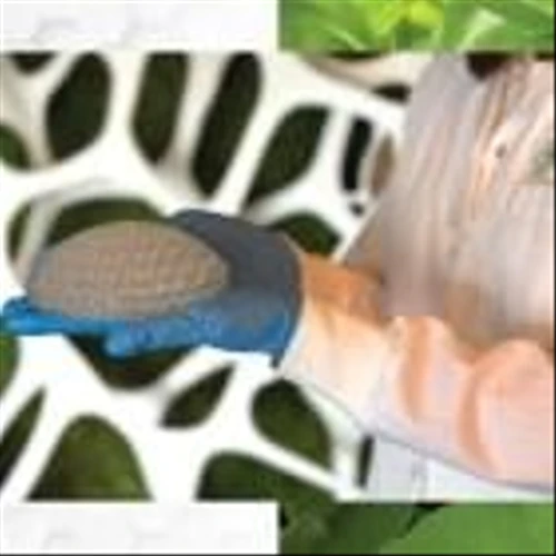 CollPlant Biotechnologies Unveils Inaugural ESG and Sustainability Report