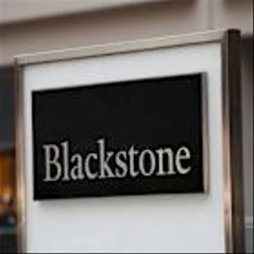 Exclusive-Blackstone weighs options for Ancestry.com, including sale or IPO, sources say