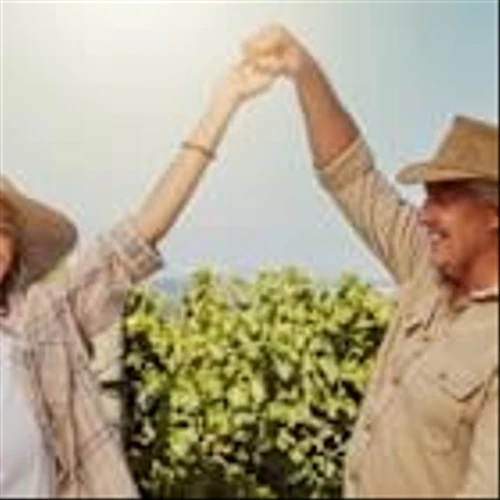 Here is the average income for retirees in the US — how do you compare?