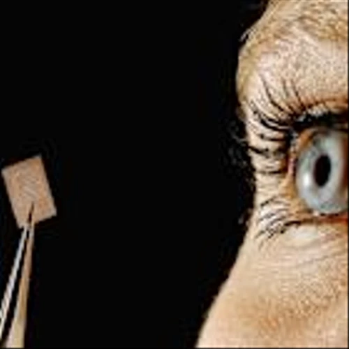 NXP Semiconductors (NXPI) Surges 8% Ahead of Ex-Dividend Date