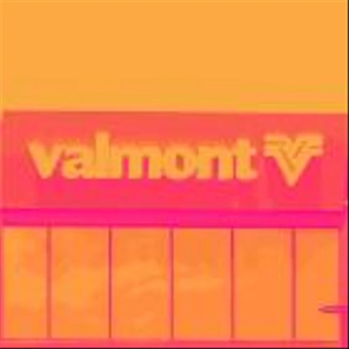 Reflecting On Building Materials Stocks’ Q4 Earnings: Valmont (NYSE:VMI)