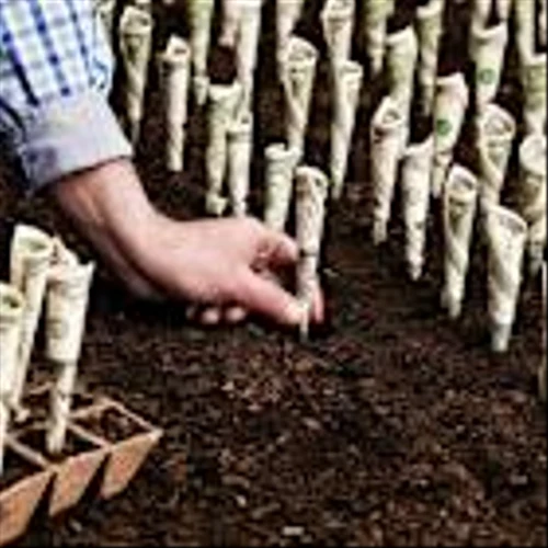 Want Decades of Passive Income? 3 Stocks to Buy Now and Hold Forever