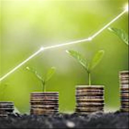 2 Growth Stocks to Invest $1,000 in Right Now
