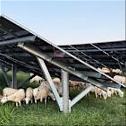 Mon Power Brings Solar Grazing to West Virginia Site