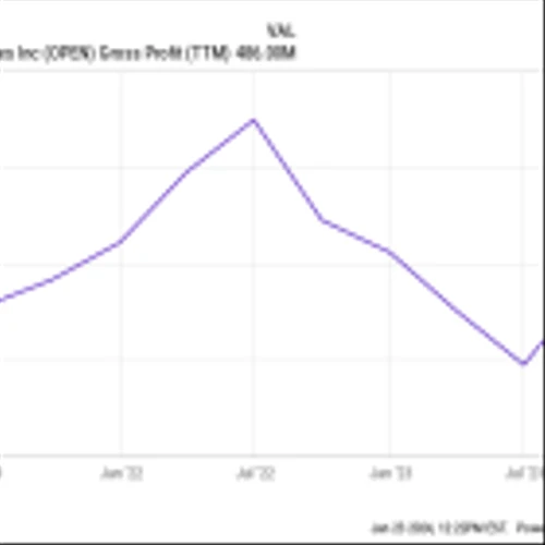 3 Things to Know Before Buying Opendoor Stock in 2024