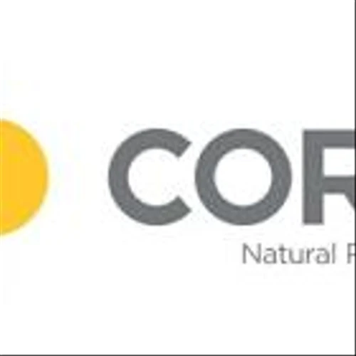 Core Natural Resources Reports First Quarter 2025 Results