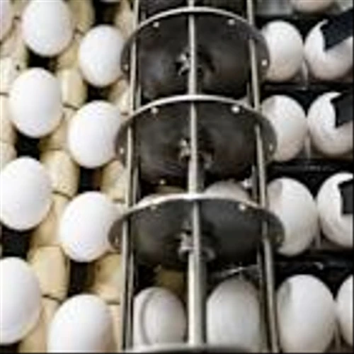 There’s a National Egg Crisis, and One Company Is Making a Lot of Money