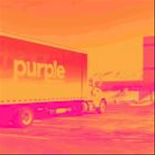 PRPL Q1 Earnings Call: Wholesale Expansion and Margin Gains Amid Industry Headwinds
