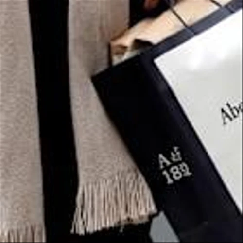 Abercrombie Expects Slower Sales Growth, Tariff Headwinds in 2026