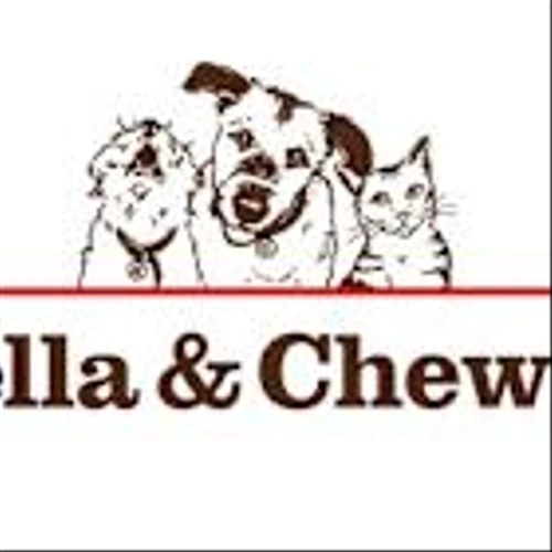 Kibble's New Best Friend: Stella & Chewy's Launches at Target