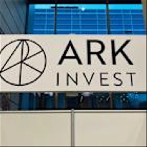 Cathie Wood owns a $239 million stake in this dividend stock