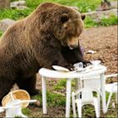 Dow Jones Futures: Stock Market Suffers Ugly Reversal As Nvidia Fizzles, Bitcoin Dives