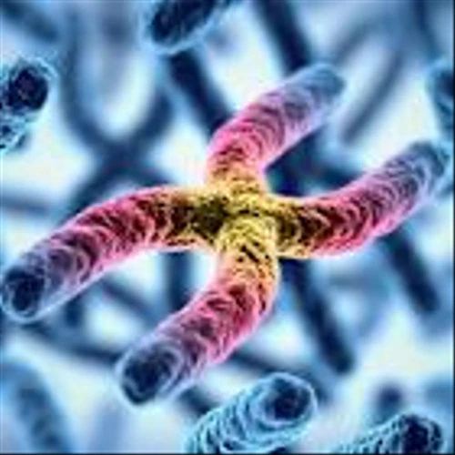 Why Pharming, A Top 3% Biotech Stock, Just Took A Double-Digit Beating