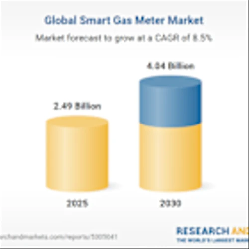 Smart Gas Meter Market Research and Global Forecast Report 2025-2030 with Apator, Diehl Stiftung, Honeywell International, Itron, and Landis+Gyr Leading