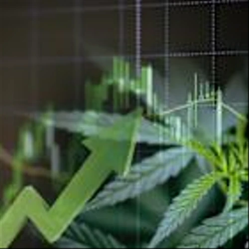 Is Jazz Pharmaceuticals a Top Cannabis Investment for 2025?
