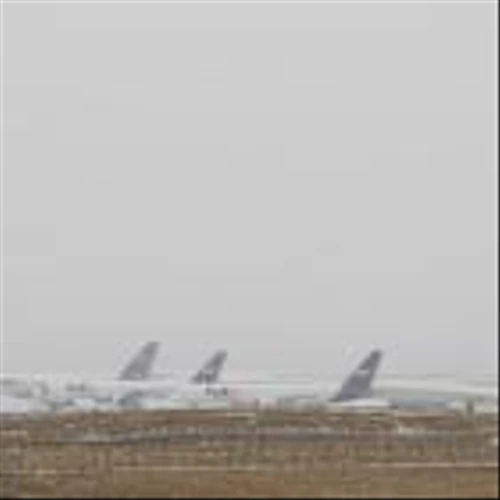 Winter Storm Fern Freezes Freight as UPS, FedEx, USPS Face Widespread Delays