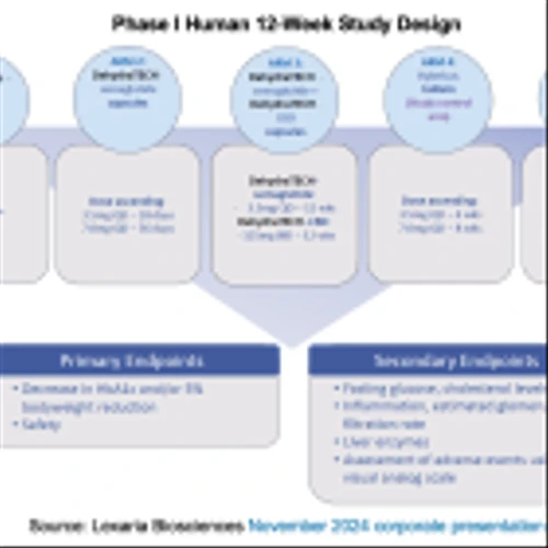 LEXX: Phase I Start Imminent