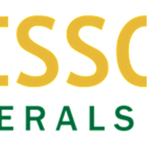 Bessor Announces Termination of Jagrite Graphite Project