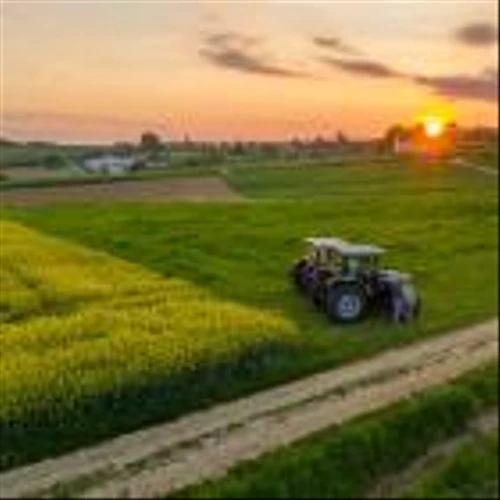 3 Dirt Cheap Dividend Stocks to Buy and Hold