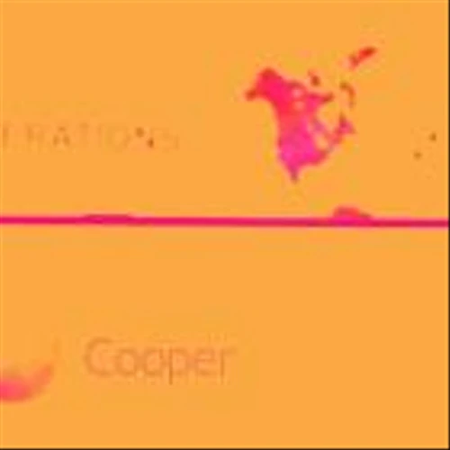 Why CooperCompanies (COO) Stock Is Trading Lower Today