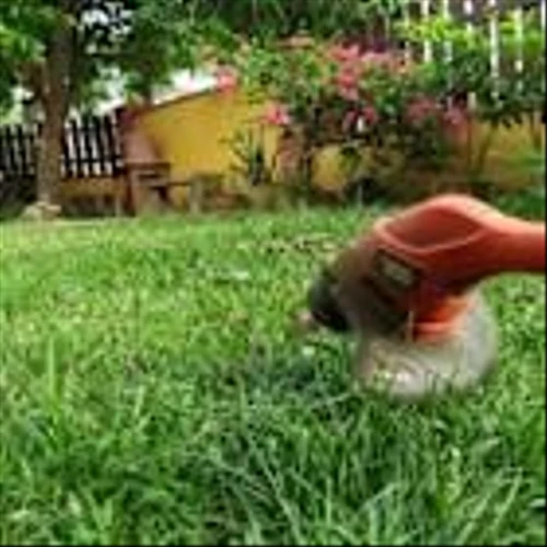 Can Spectrum Brands' Digital and Portfolio Transformation Aid Growth?