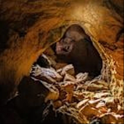 Southern Copper’s (SCCO) Cost Reductions Payoff as Net Income Grows
