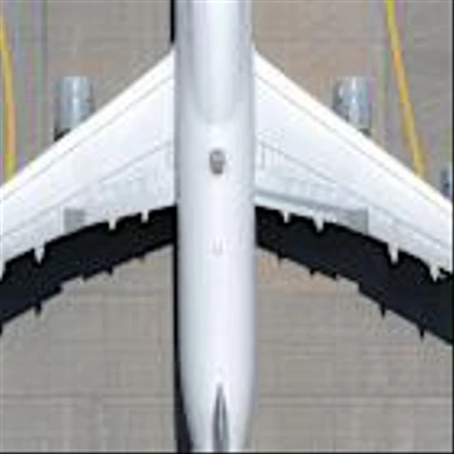 American, Delta forecast strong travel demand offsetting fuel prices