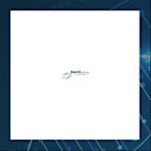 Rapid Micro Biosystems Q4 Earnings Call Highlights