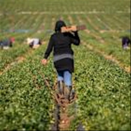 How To Put $100 In Your Retirement Fund Each Month With Farmland Partners Stock